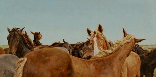De paarden van Marrum De paarden van Marrum