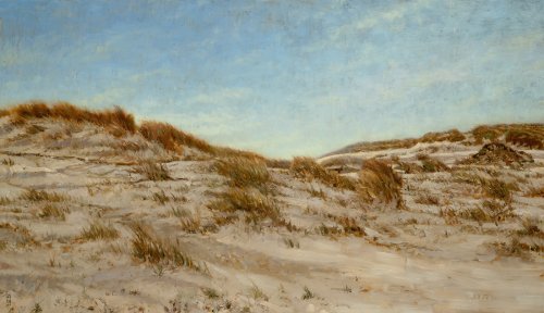 Duinen Terschelling Duinen Terschelling