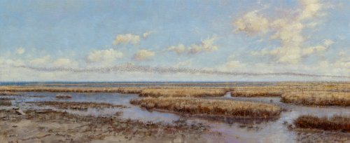 Opvliegende wadvogels (Terschellinger wad t.h.v. Midsland) Opvliegende wadvogels (Terschellinger wad t.h.v. Midsland)