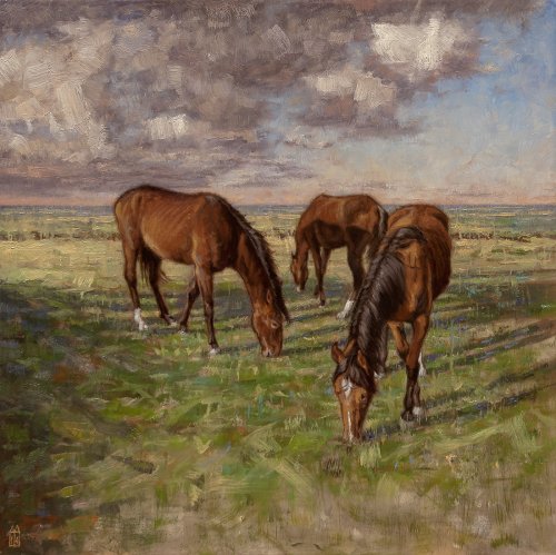 Grazende paarden Grazende paarden