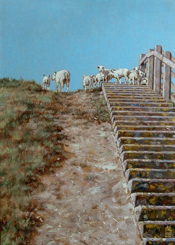 Schapen op de dijk Schapen op de dijk