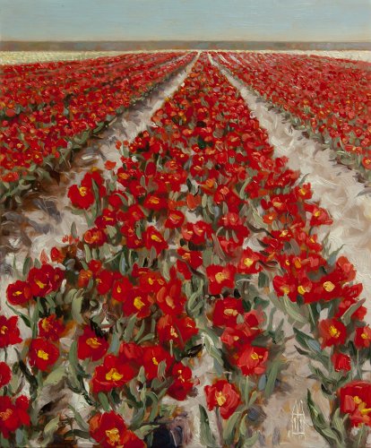 Tulpen langs de dijk Tulpen langs de dijk